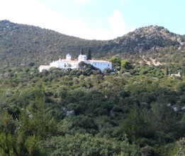 Manastirea Hrisosleontisas